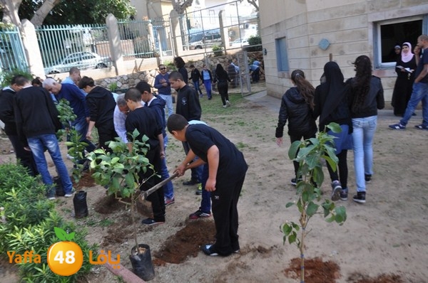 trees shamela 0321 (5).JPG